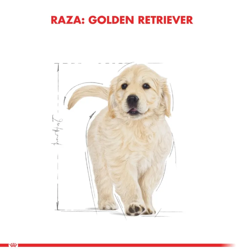 Royal Canin Golden Retriever Junior 12kg