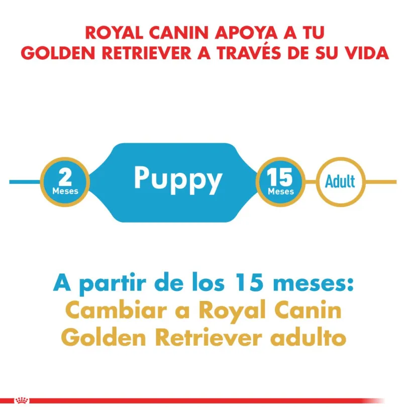 Royal Canin Golden Retriever Junior 12kg