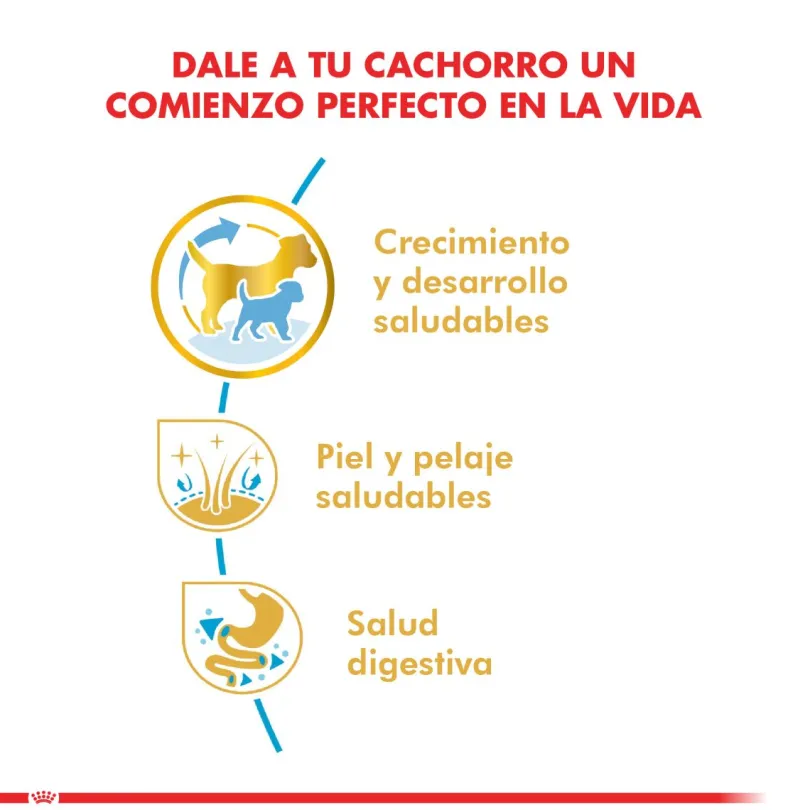 Royal Canin Golden Retriever Junior 12kg