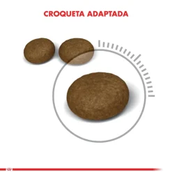 Royal Canin Hair And Skin 1.5kg