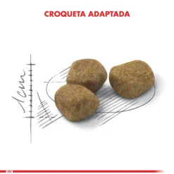 Royal Canin Indoor 7+ 2kg