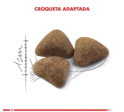 Royal Canin Indoor 10kg