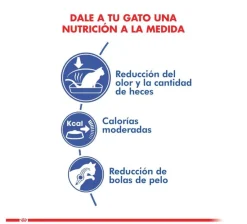 Royal Canin Indoor 10kg