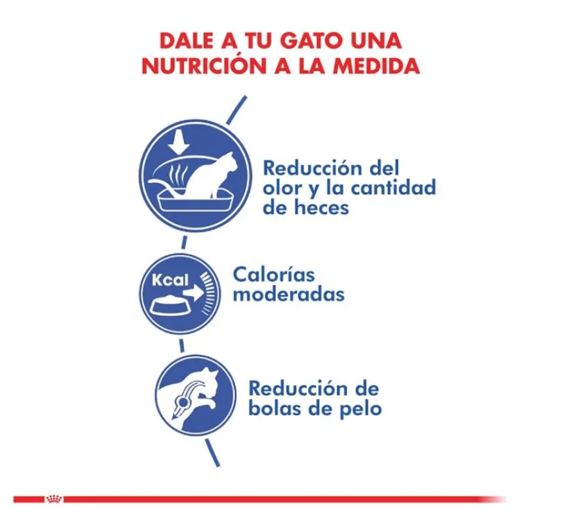 Royal Canin Indoor 10kg