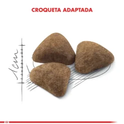 Royal Canin Indoor 7.5kg
