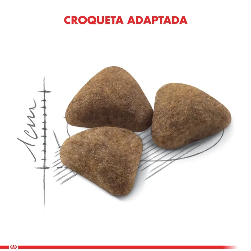 Royal Canin Indoor 1.5kg