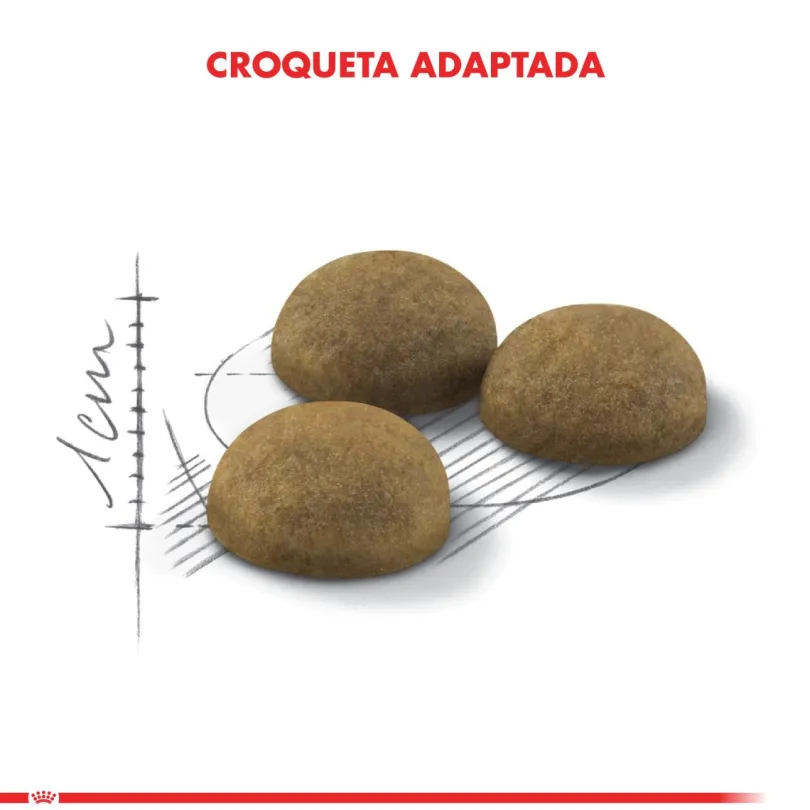 Royal Canin Indoor Long Hair 1.5kg