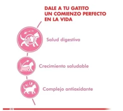 Royal Canin Kitten 400gr