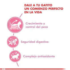 Royal Canin Kitten Sterilised 4kg