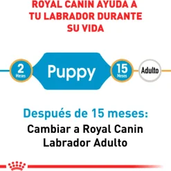 Royal Canin Labrador Retriever Junior 12kg