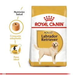 Royal Canin Labrador Retriever Adulto 12kg