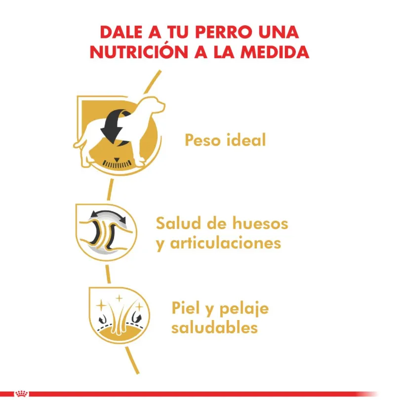 Royal Canin Labrador Retriever Adulto 12kg