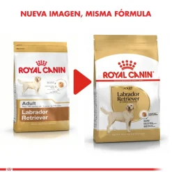 Royal Canin Labrador Retriever Adulto 12kg