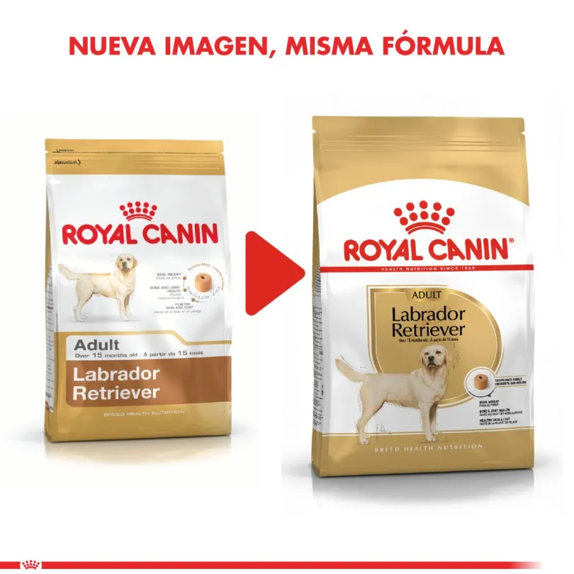 Royal Canin Labrador Retriever Adulto 12kg