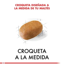 Royal Canin Maltes Adulto 1kg