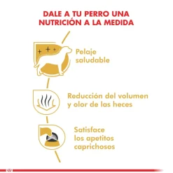 Royal Canin Maltes Adulto 1kg