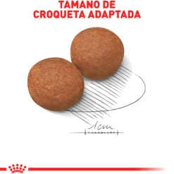 Royal Canin Maxi Adulto 15kg