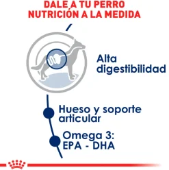 Royal Canin Maxi Adulto 15kg