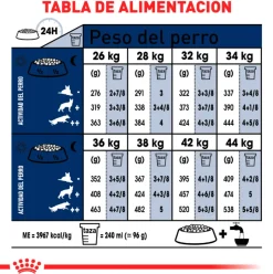 Royal Canin Maxi Adulto 15kg