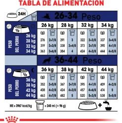 Royal Canin Maxi Adulto 15kg
