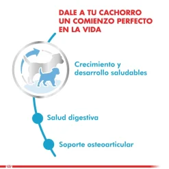 Royal Canin Maxi Junior 15kg