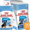 Royal Canin Maxi Puppy Pouch 140gr x 10 unidades