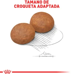 Royal Canin Medium Adulto 15kg