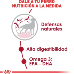 Royal Canin Medium Adulto 15kg