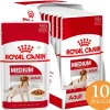 Royal Canin Medium Adulto Pouch 140gr x 10 unidades