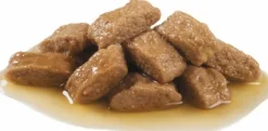Royal Canin Medium Adulto Pouch 140gr x 10 unidades