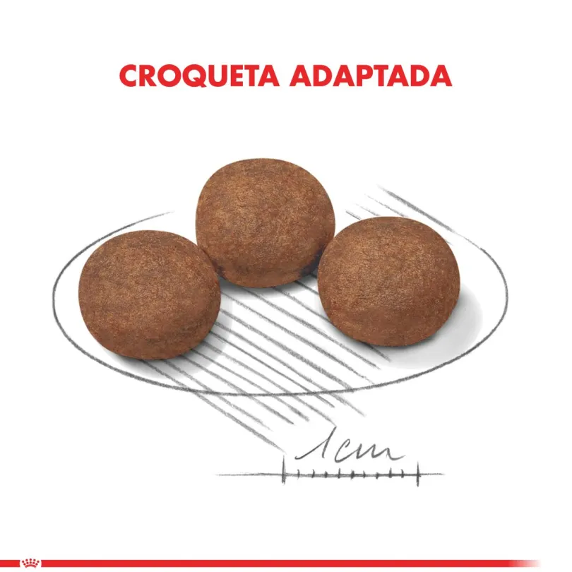 Royal Canin Medium Junior 15kg