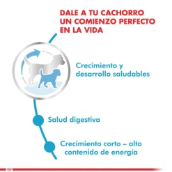 Royal Canin Medium Junior 15kg