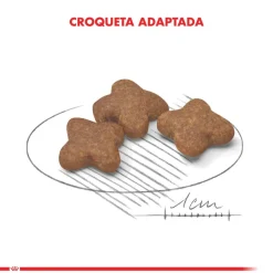Royal Canin Mini Adulto 8+ 3kg