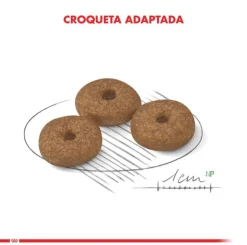Royal Canin Mini Adulto 12+ 1kg