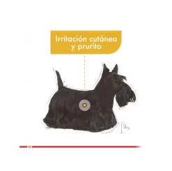 Royal Canin Mini Dermaconfort 2.5kg