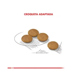 Royal Canin Mini Dermaconfort 2.5kg