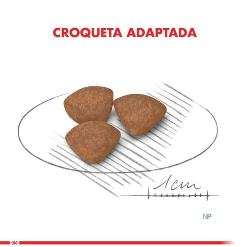 Royal Canin Mini Junior 8kg