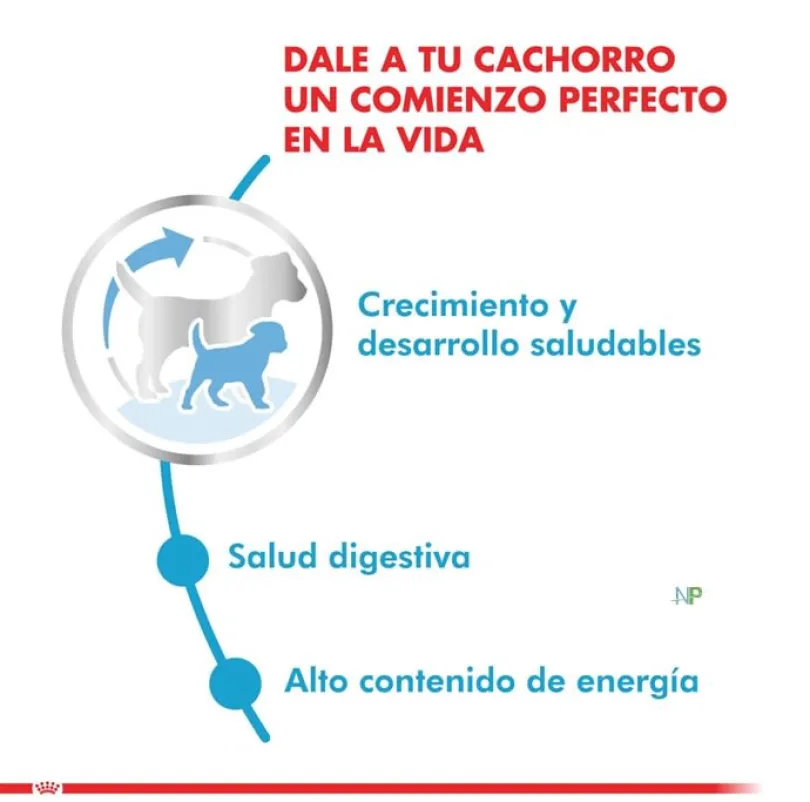 Royal Canin Mini Junior 8kg
