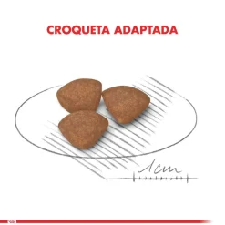 Royal Canin Mini Junior 7.5kg