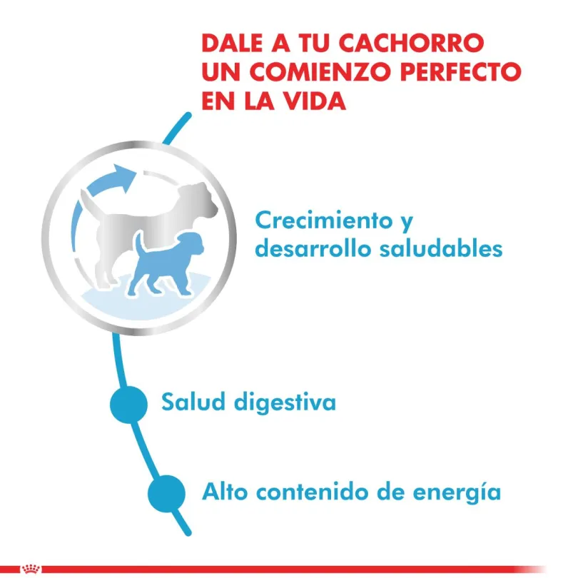 Royal Canin Mini Junior 7.5kg