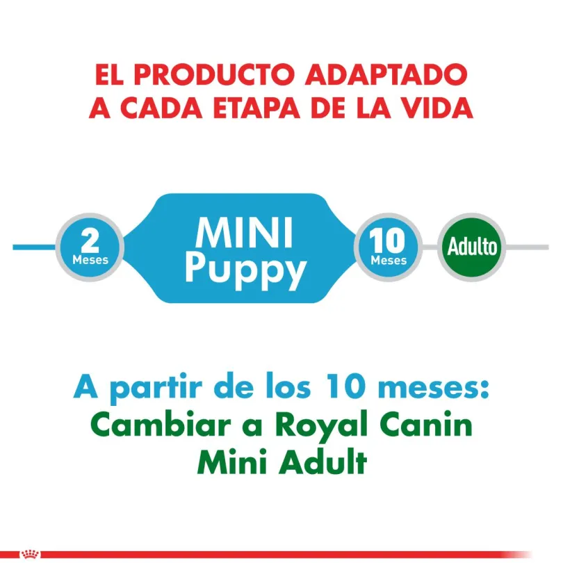 Royal Canin Mini Junior 7.5kg