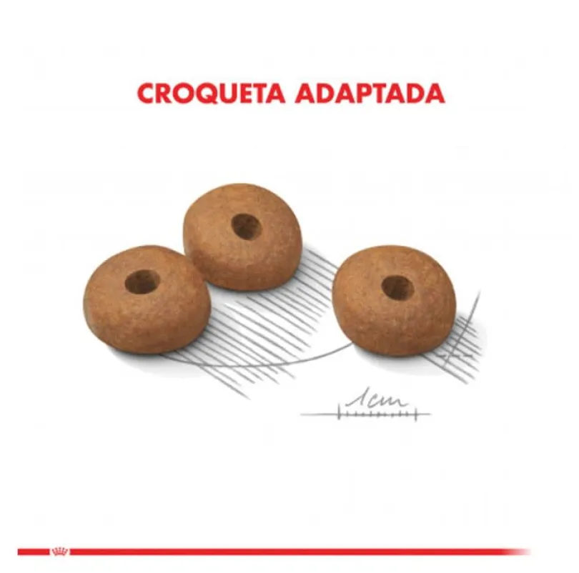 Royal Canin Mini Light 2.5kg