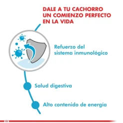 Royal Canin Mini Puppy Pouch Pack 12 Unidades