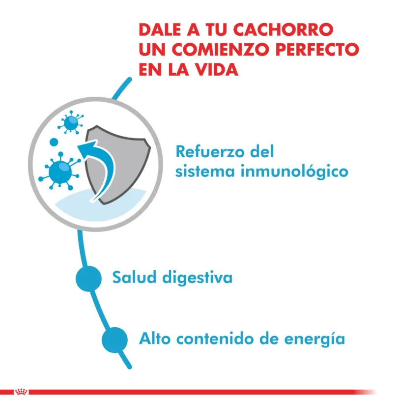 Royal Canin Mini Puppy Pouch Pack 12 Unidades