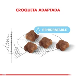 Royal Canin Mother and Babycat 1.5kg