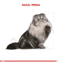 Royal Canin Persian 1.5kg