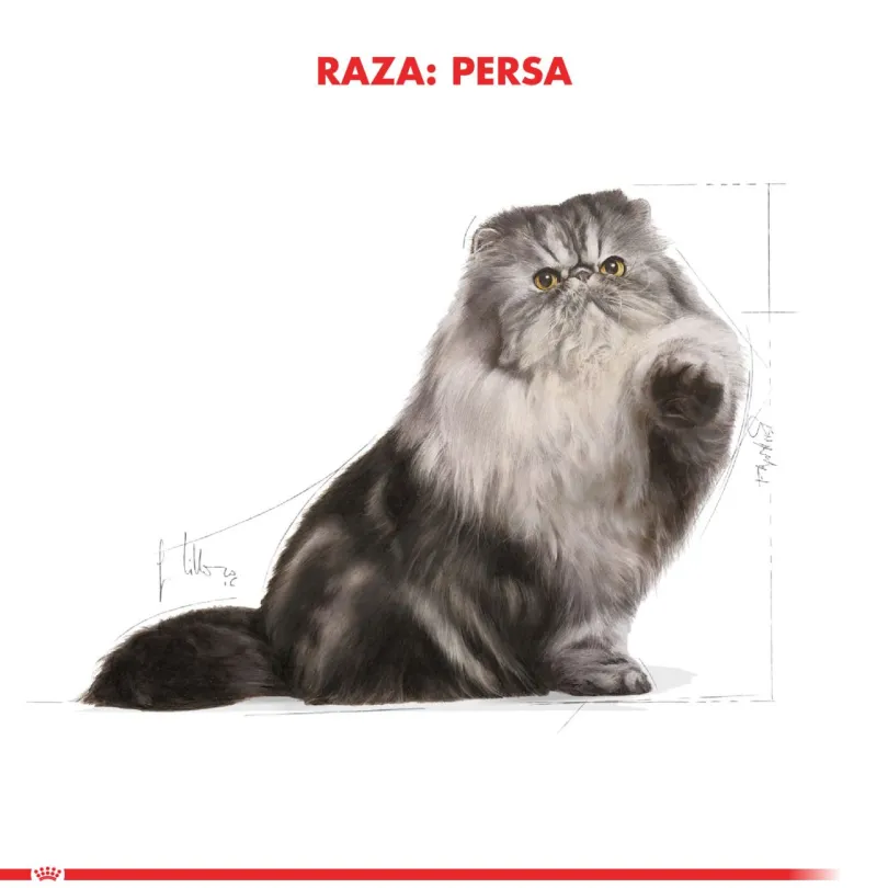 Royal Canin Persian 1.5kg