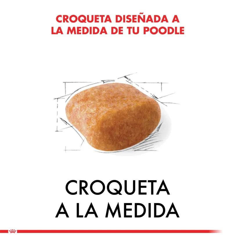 Royal Canin Poodle Adulto 3kg