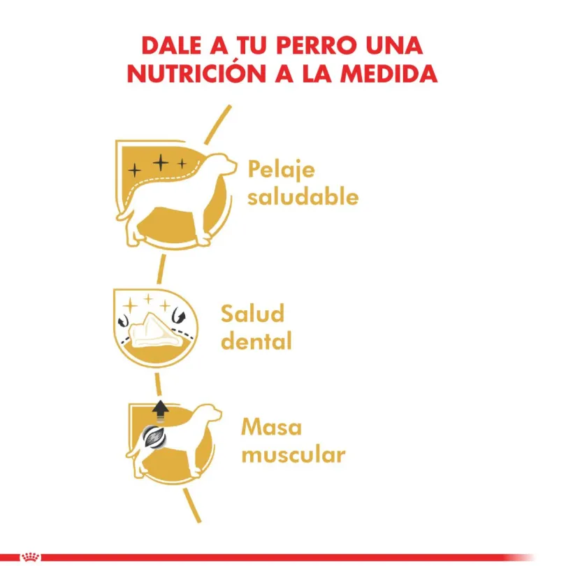 Royal Canin Poodle Adulto 3kg