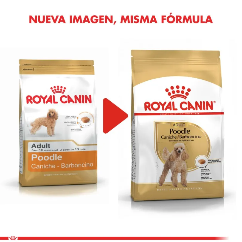 Royal Canin Poodle Adulto 3kg
